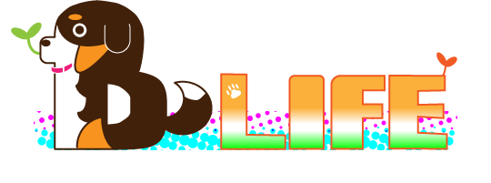 Bernese Mountain Dog Breeding Facilities B life